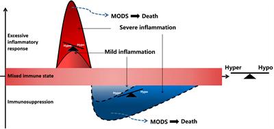 Revealing the biological mechanism of acupuncture in alleviating excessive inflammatory responses and organ damage in sepsis: a systematic review